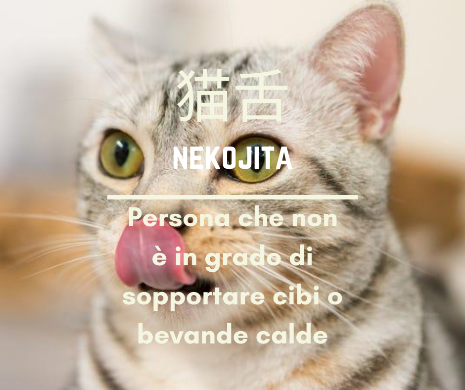 Gatto con lingua di fuori